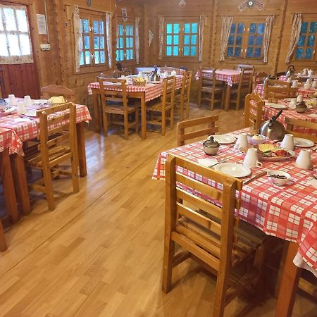 Casa Edelweiss - Gyopar - Flore De Colt Rimetea Dış mekan fotoğraf