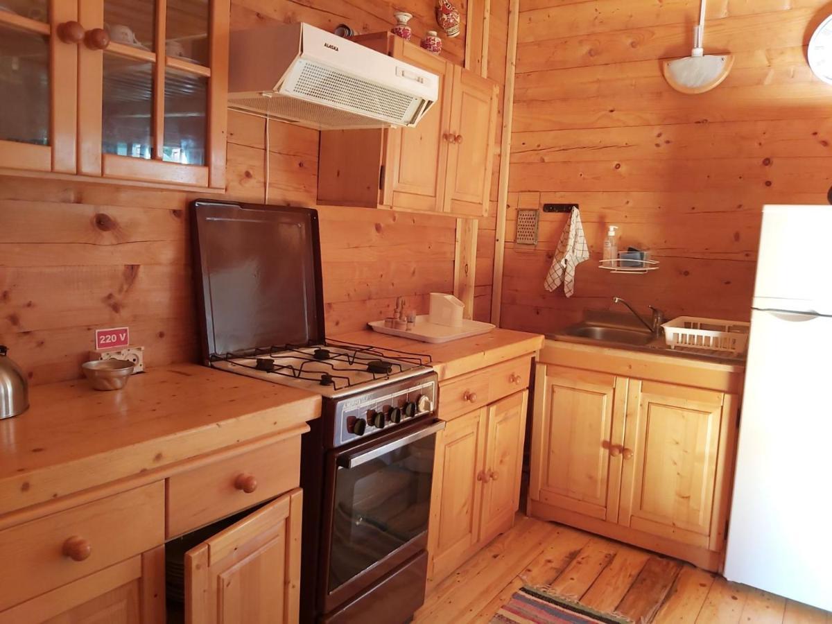 Casa Edelweiss - Gyopar - Flore De Colt Rimetea Dış mekan fotoğraf