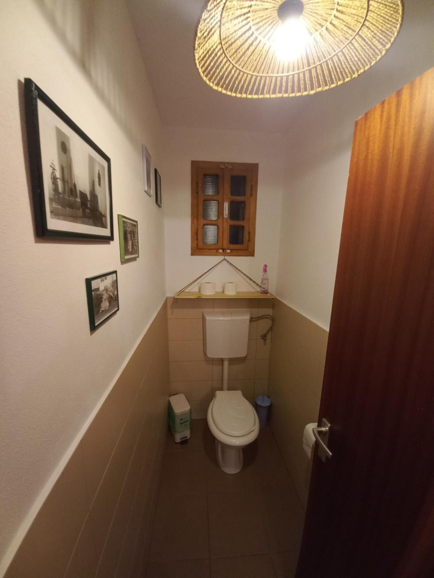 Casa Edelweiss - Gyopar - Flore De Colt Rimetea Dış mekan fotoğraf